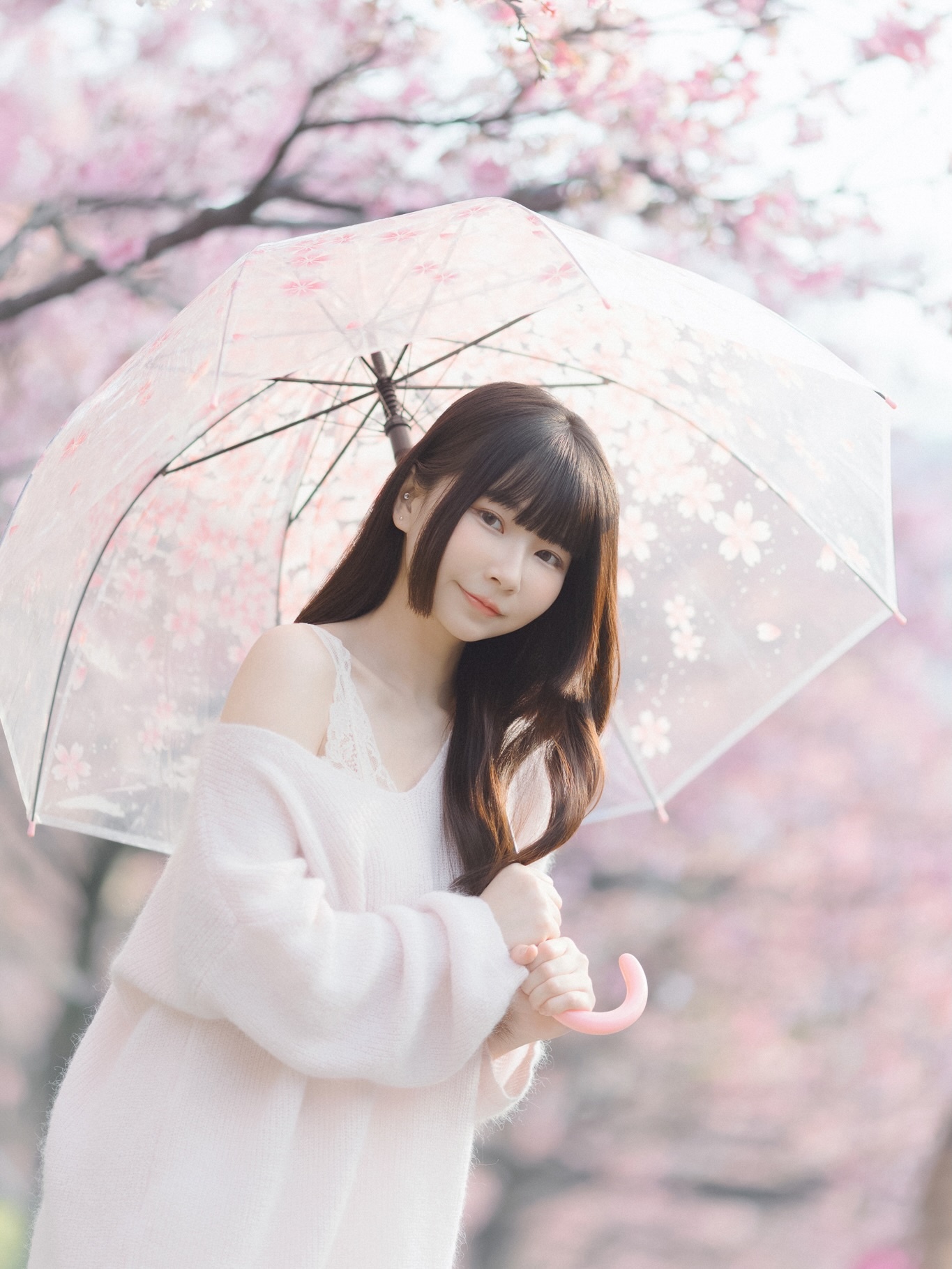 ia_100000043064.jpg