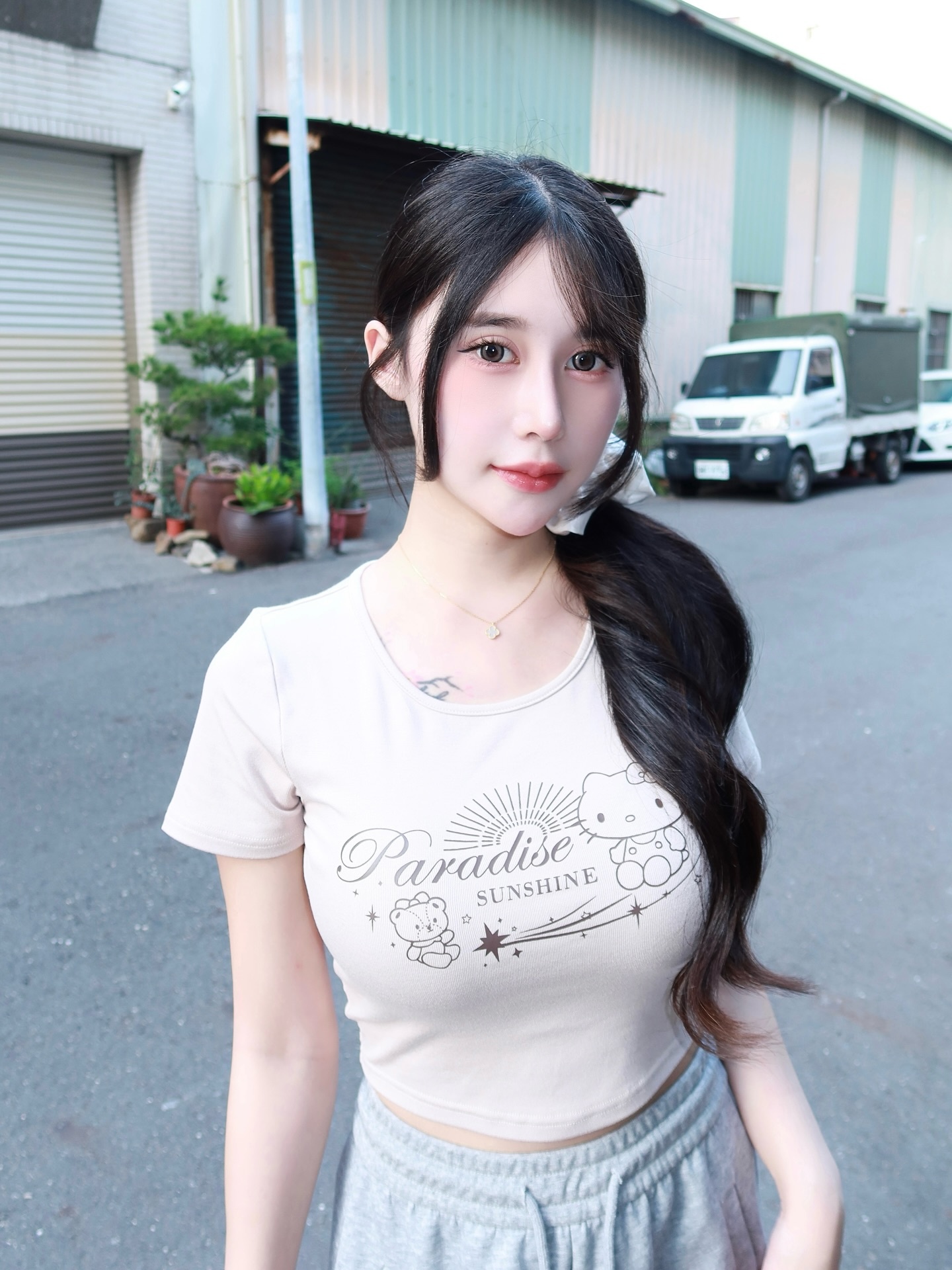 ia_100000019861.jpg