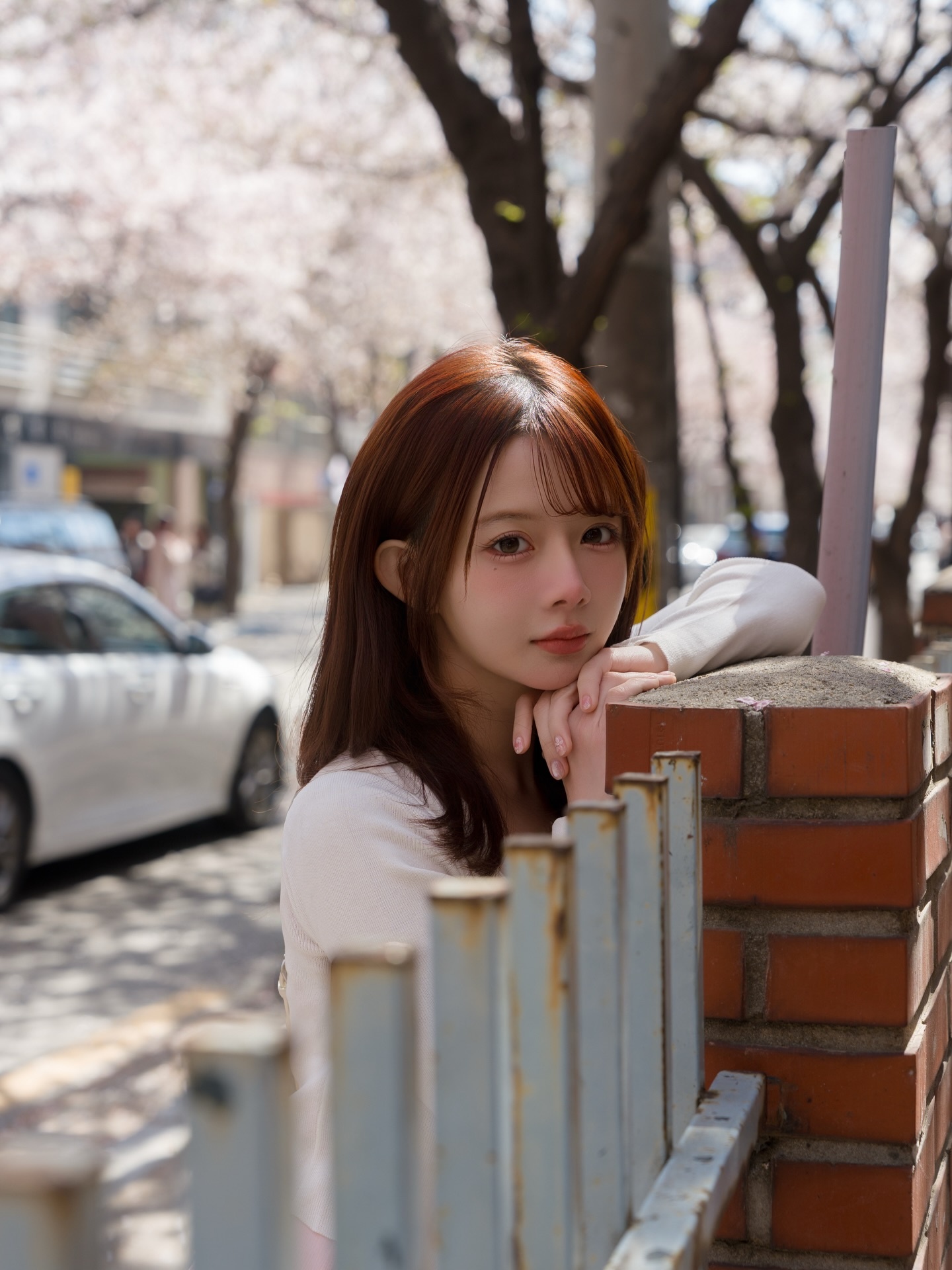 ia_100000010821.jpg