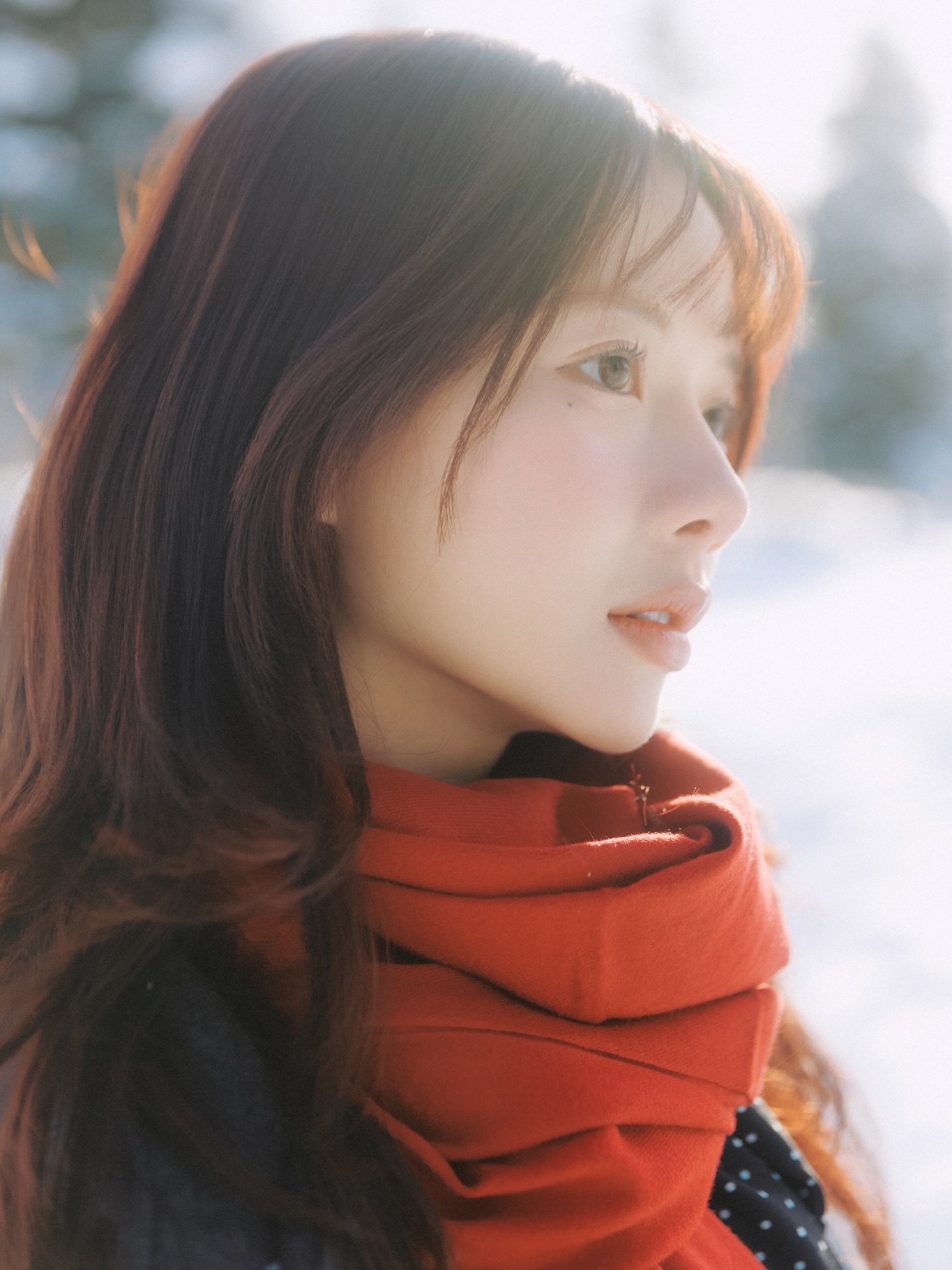 ia_100000010830.jpg