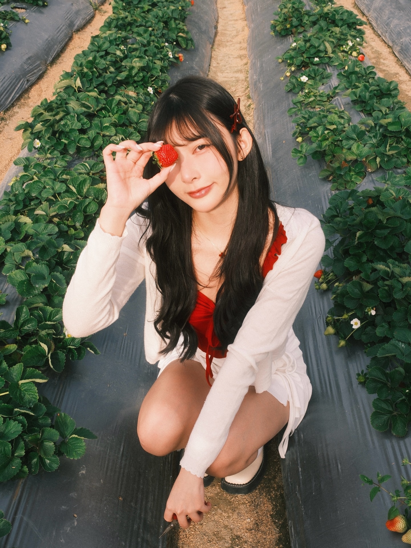 ia_100000032490.jpg