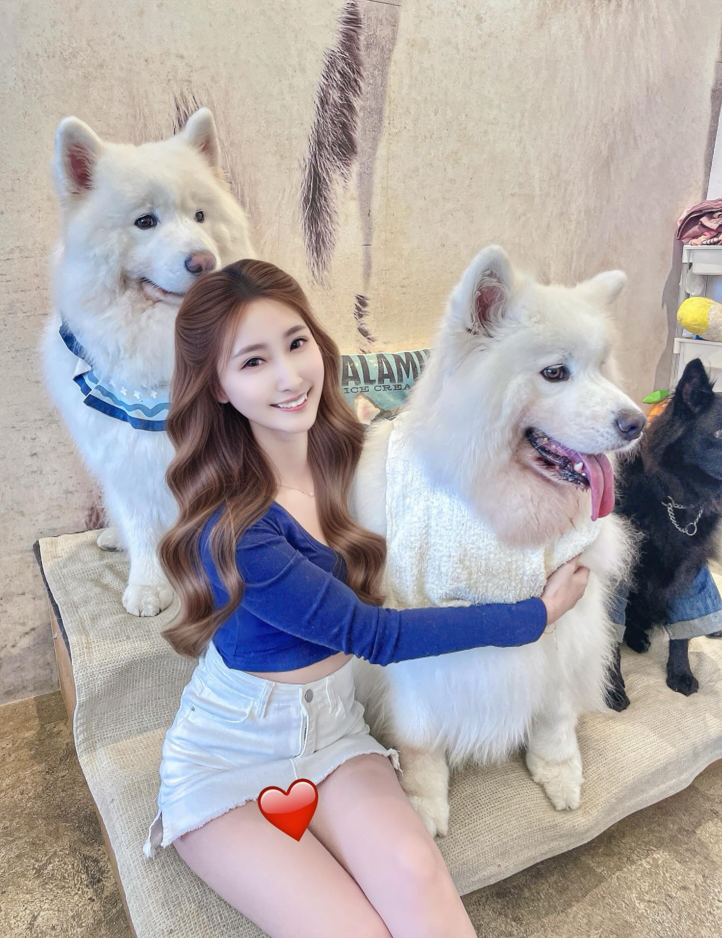 ia_100000043773.jpg