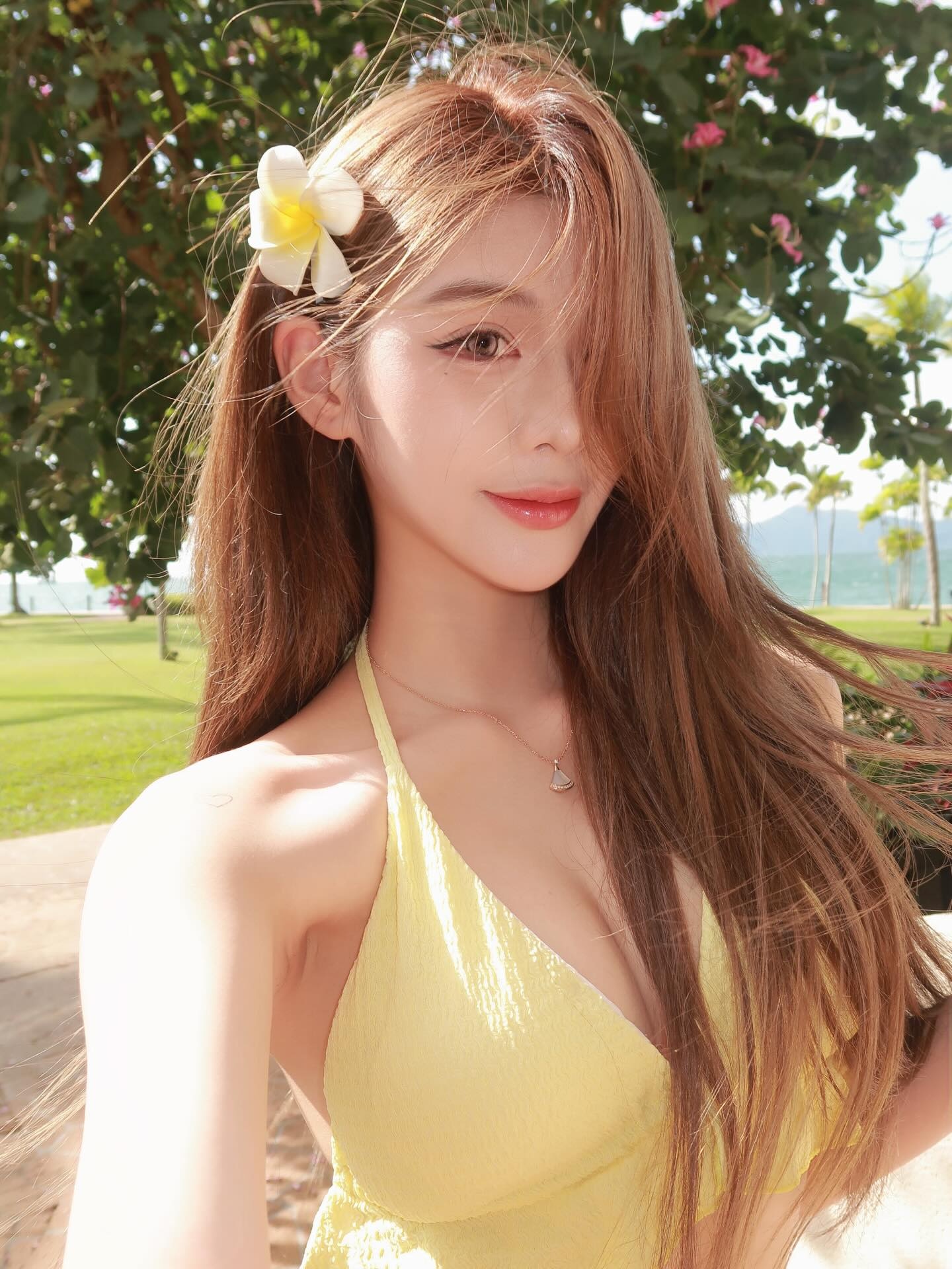 ia_100000010415.jpg