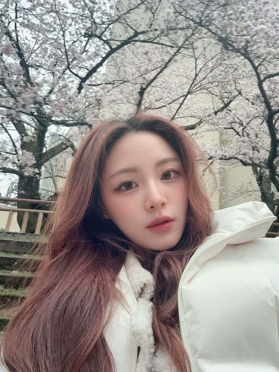 ia_1900000015.jpg