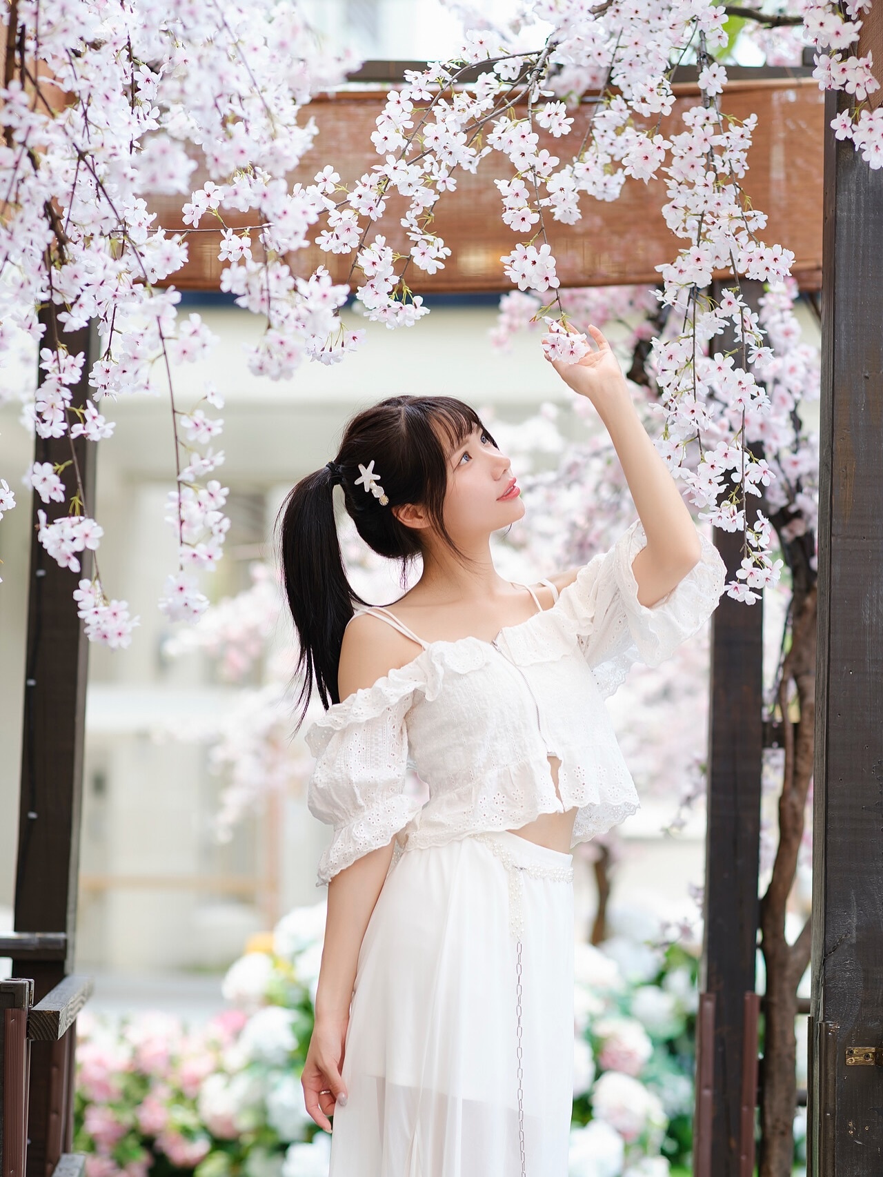 ia_100000037624.jpg
