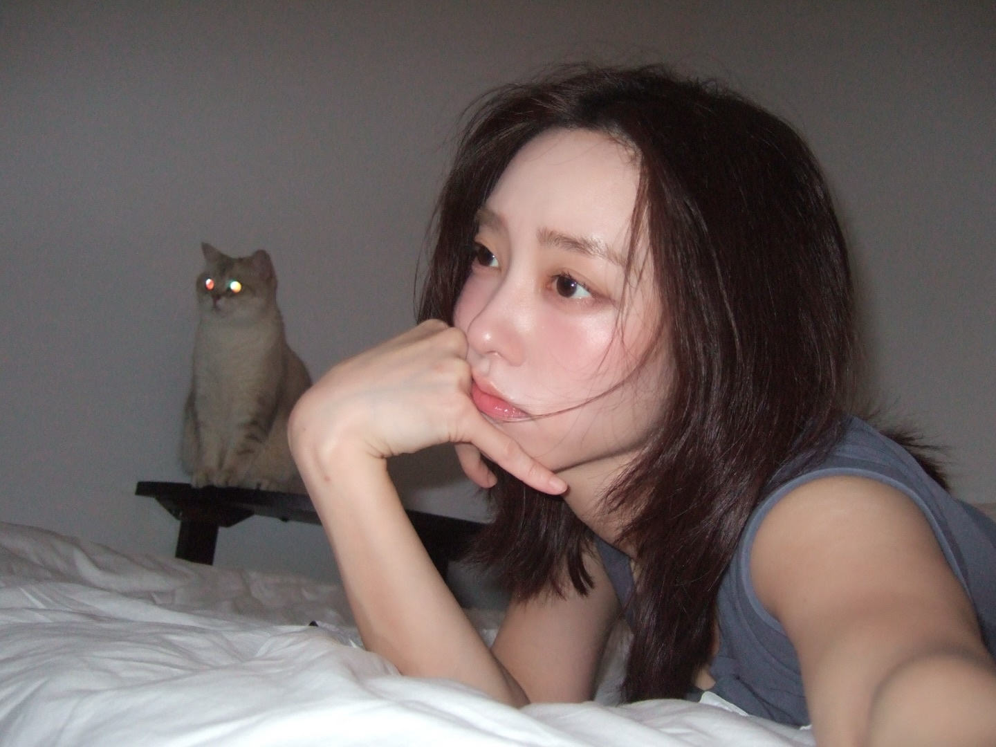 ia_100000020660.jpg