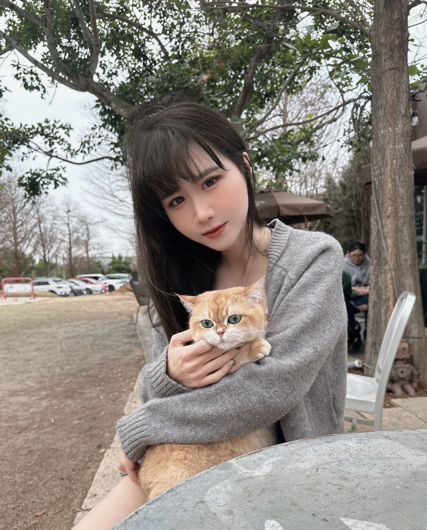 ia_100000026253.jpg