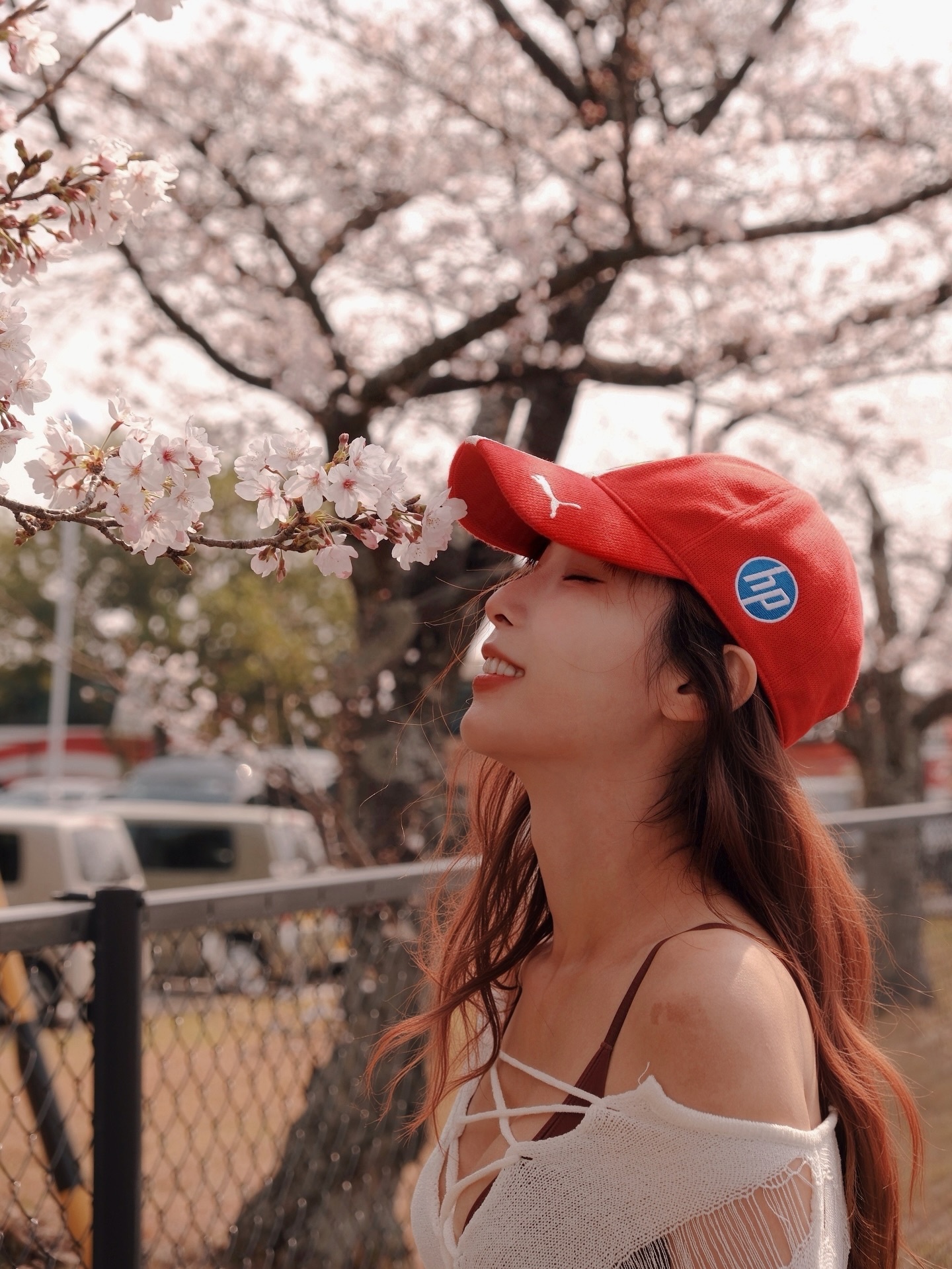 ia_100000033390.jpg