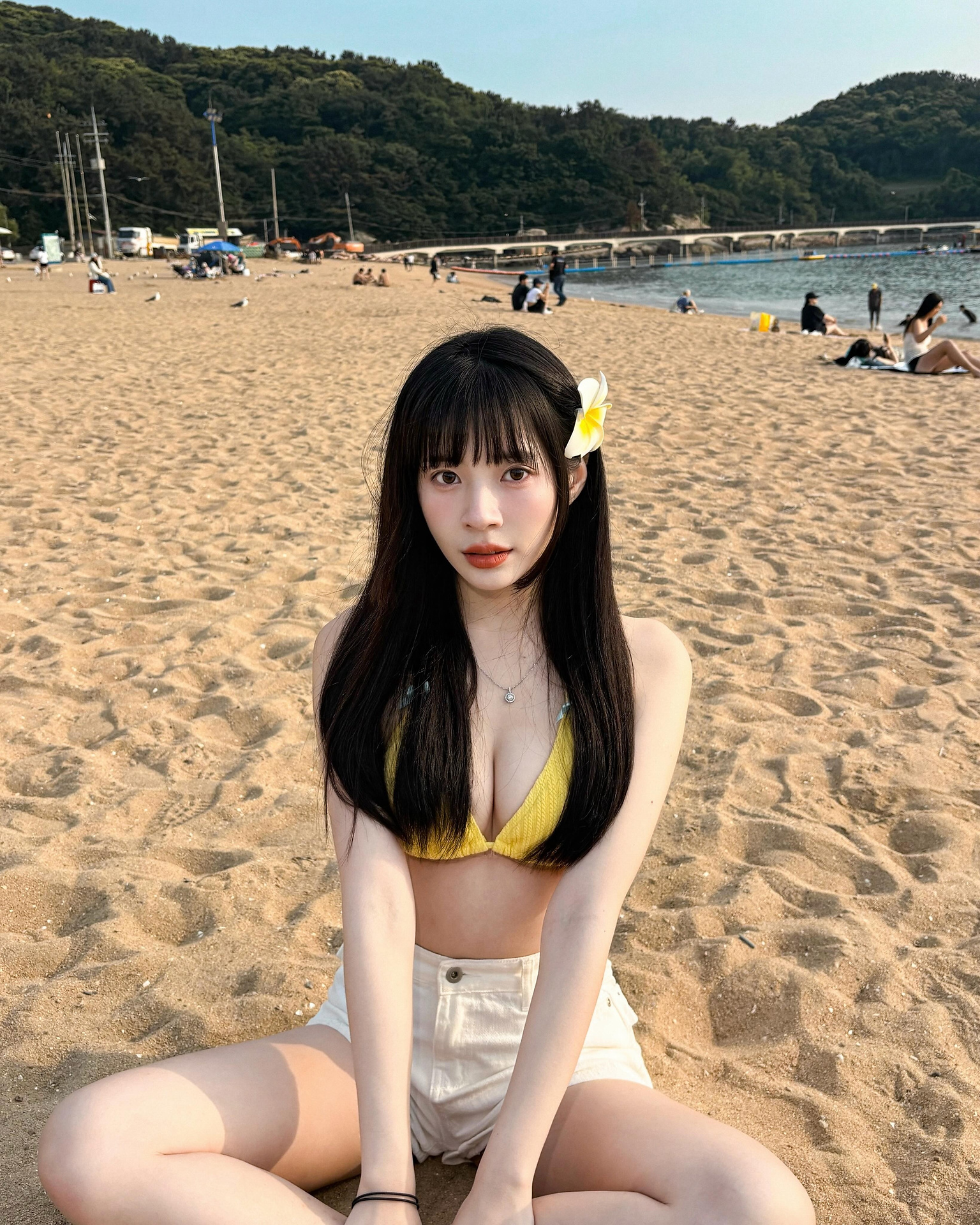 ia_100000058102.jpg