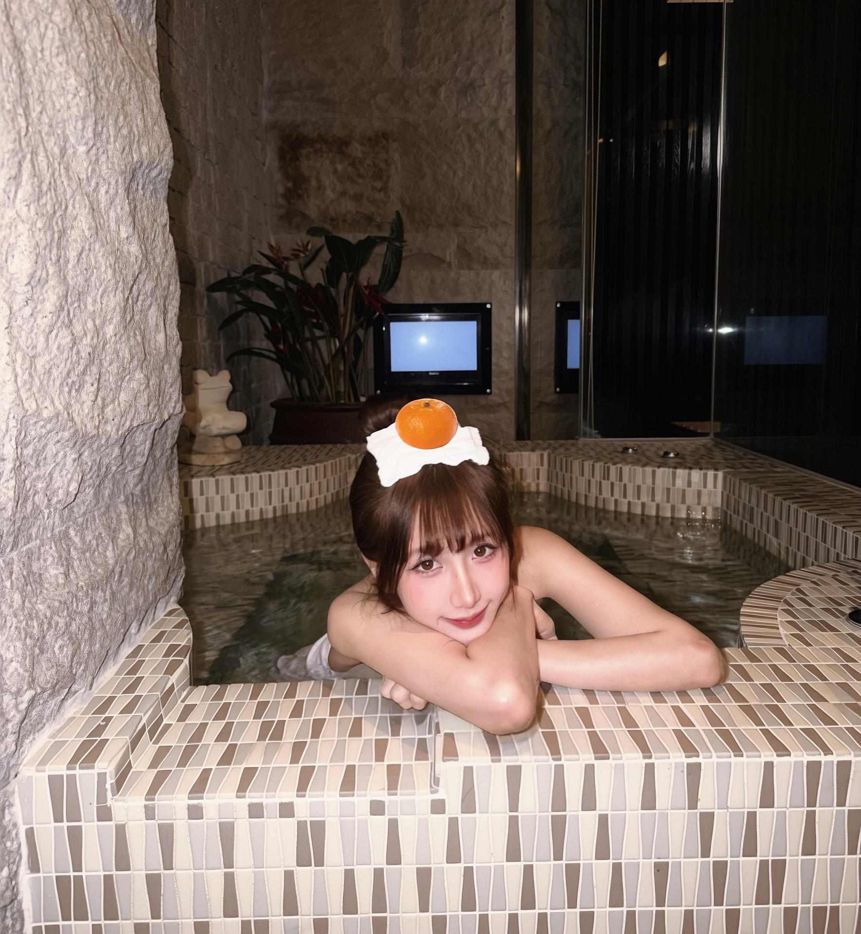 ia_100000016829.jpg