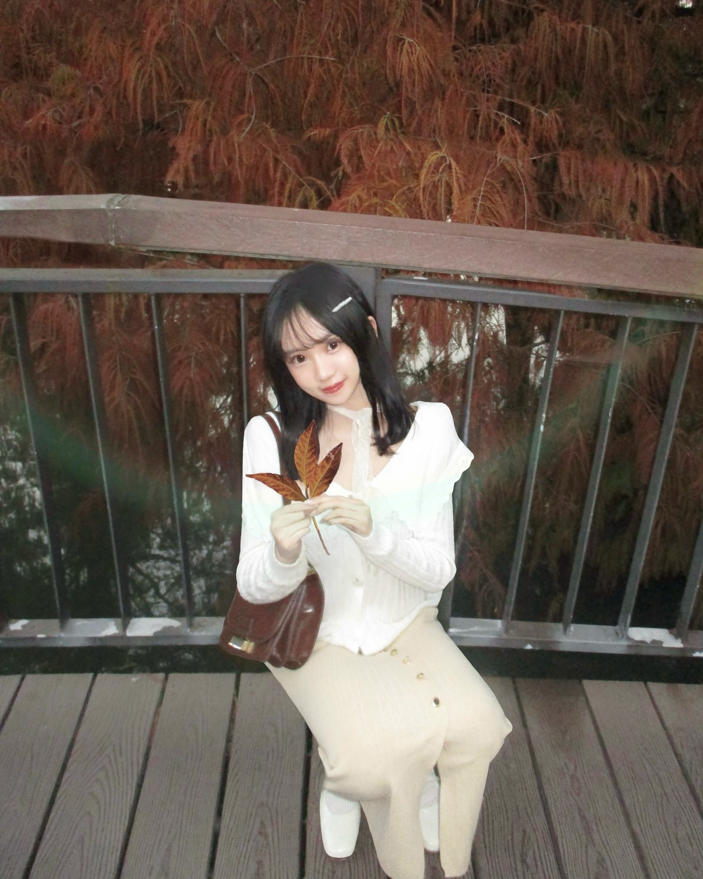 ia_100000007366.jpg