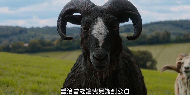 2026-05-08-(美)-綿羊偵探團04.jpg