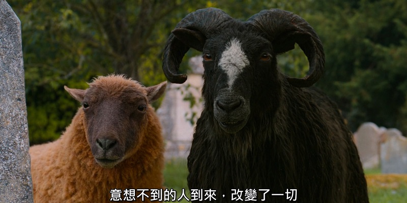 2026-05-08-(美)-綿羊偵探團06.jpg