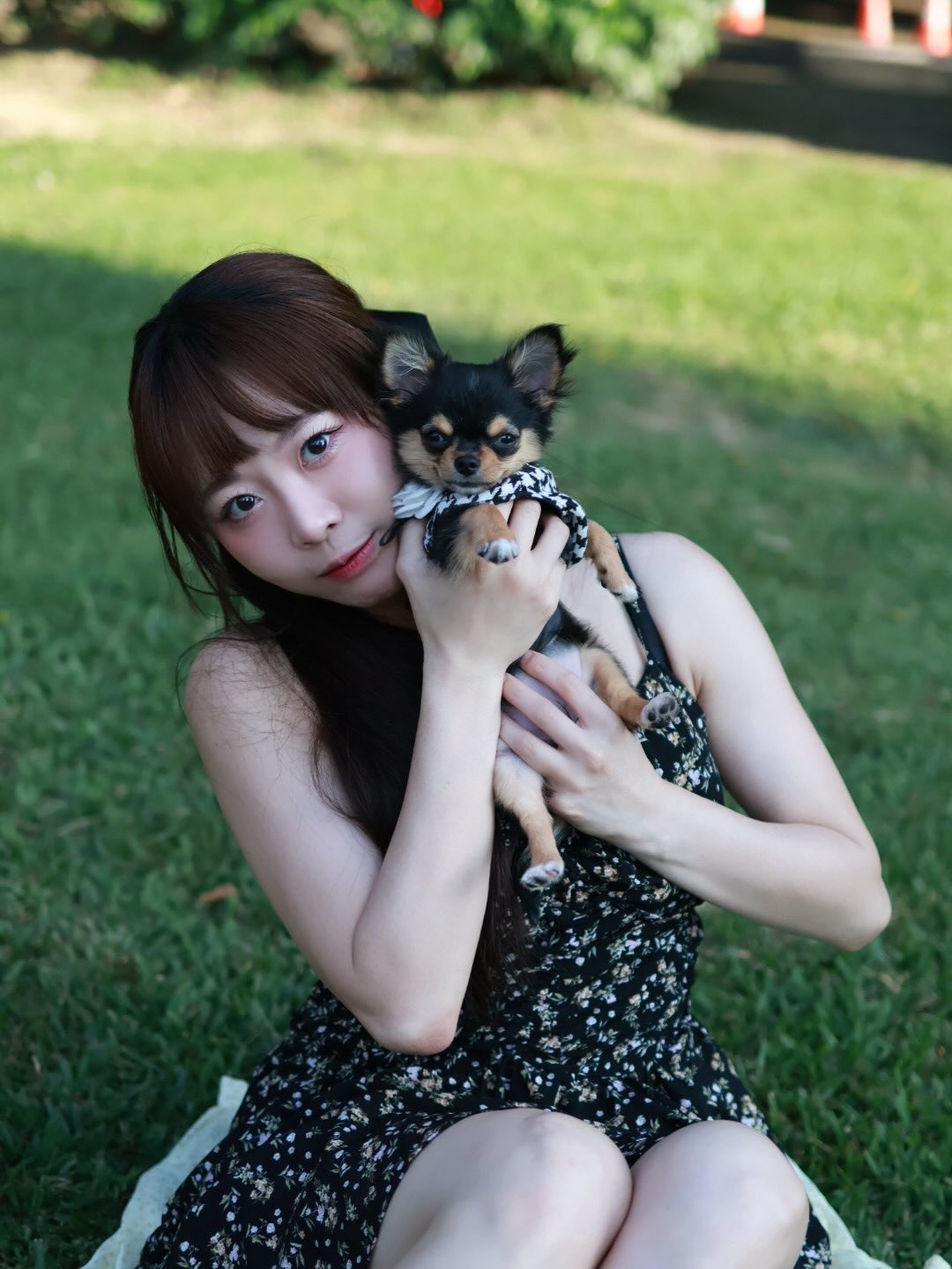 ia_100000008795.jpg