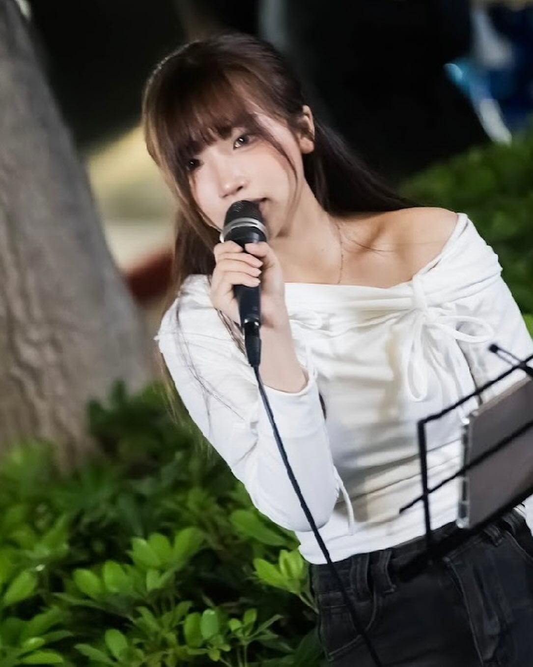 ia_100000018079.jpg