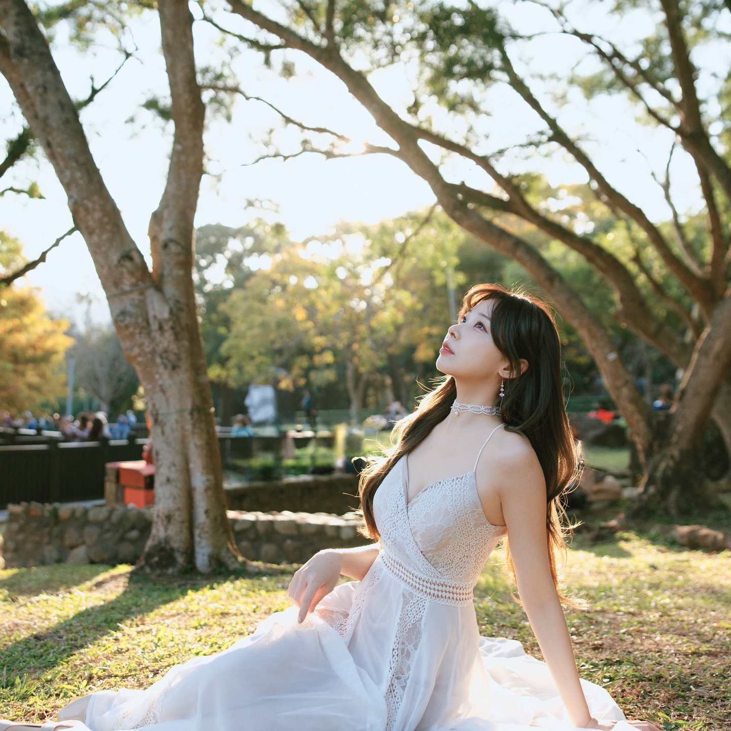 ia_100000041791.jpg