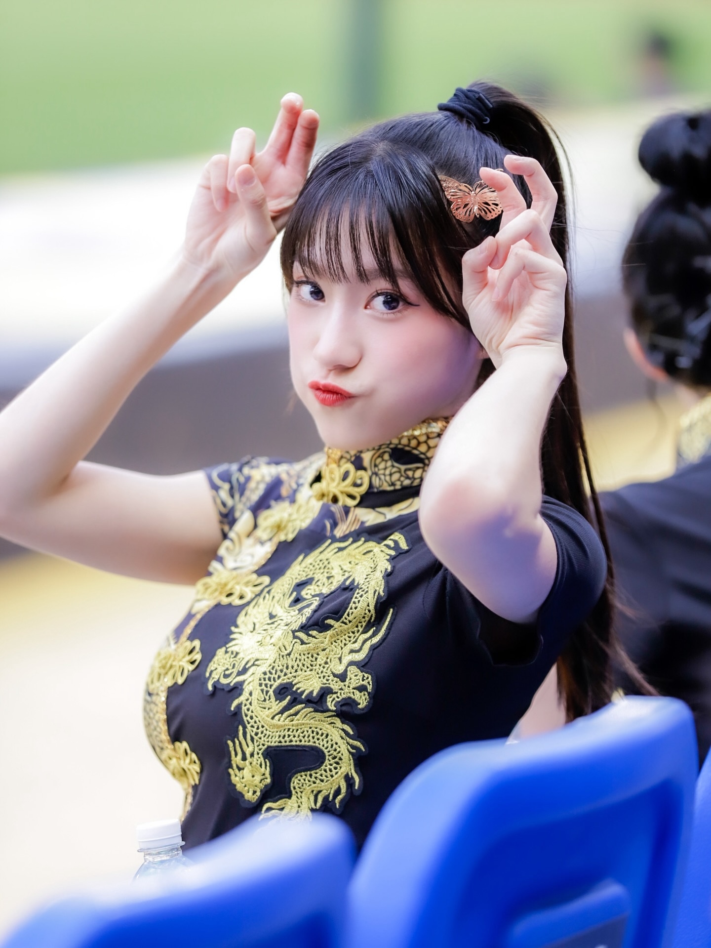 ia_100000002451.jpg