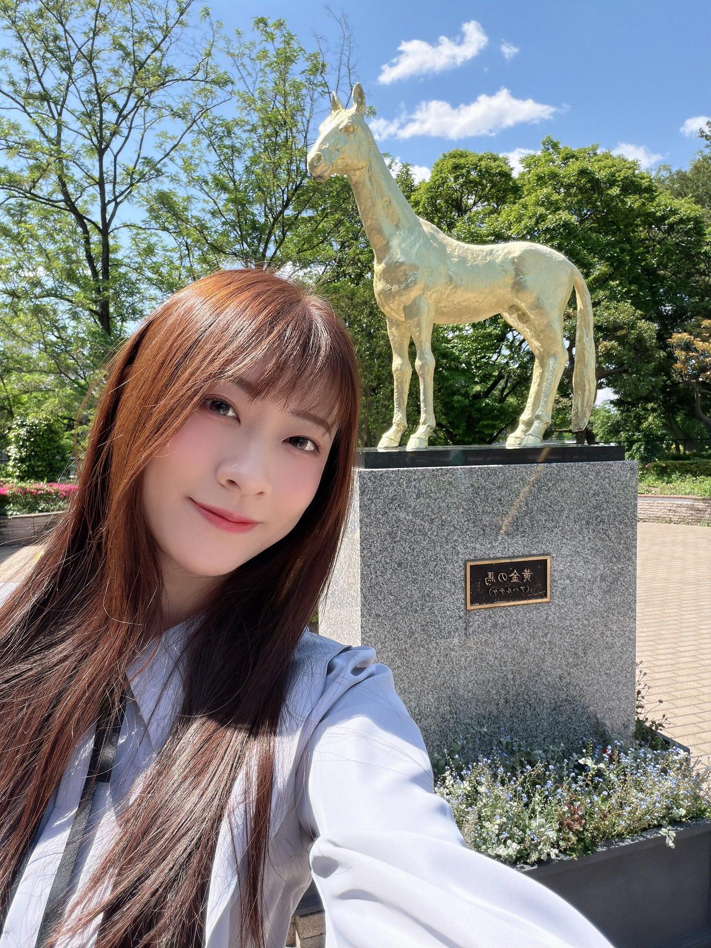 ia_100000033823.jpg