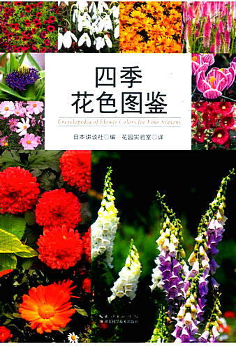 Flower-Colors-for-Four-Seasons
