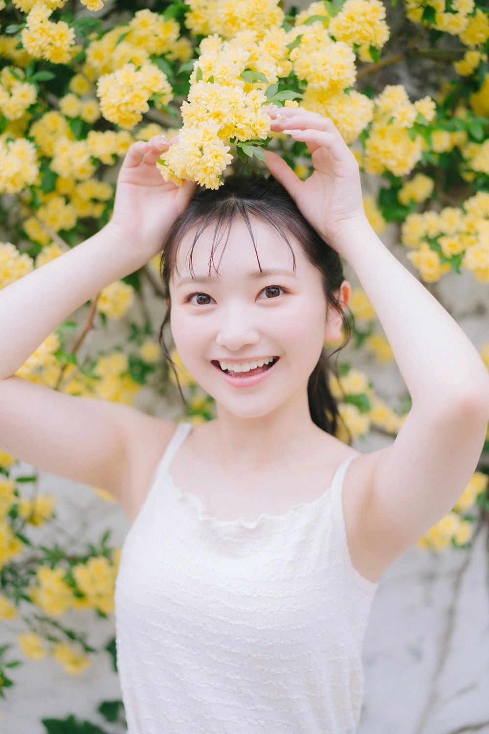 ia_100000031268.jpg