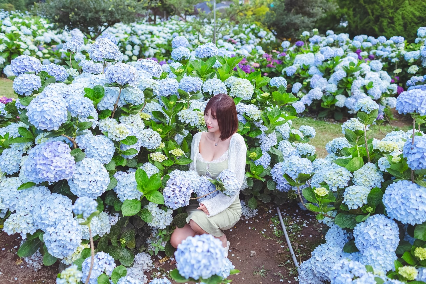 ia_100000033283.jpg
