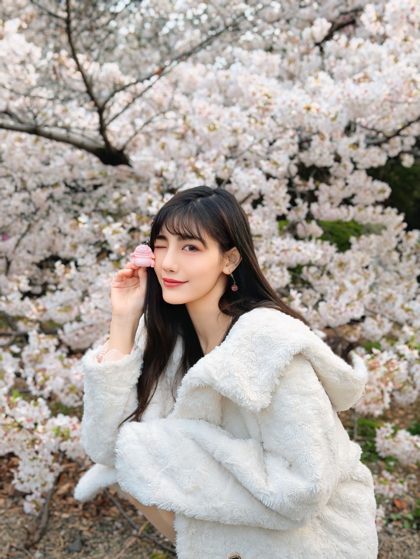 ia_2100000010.jpg
