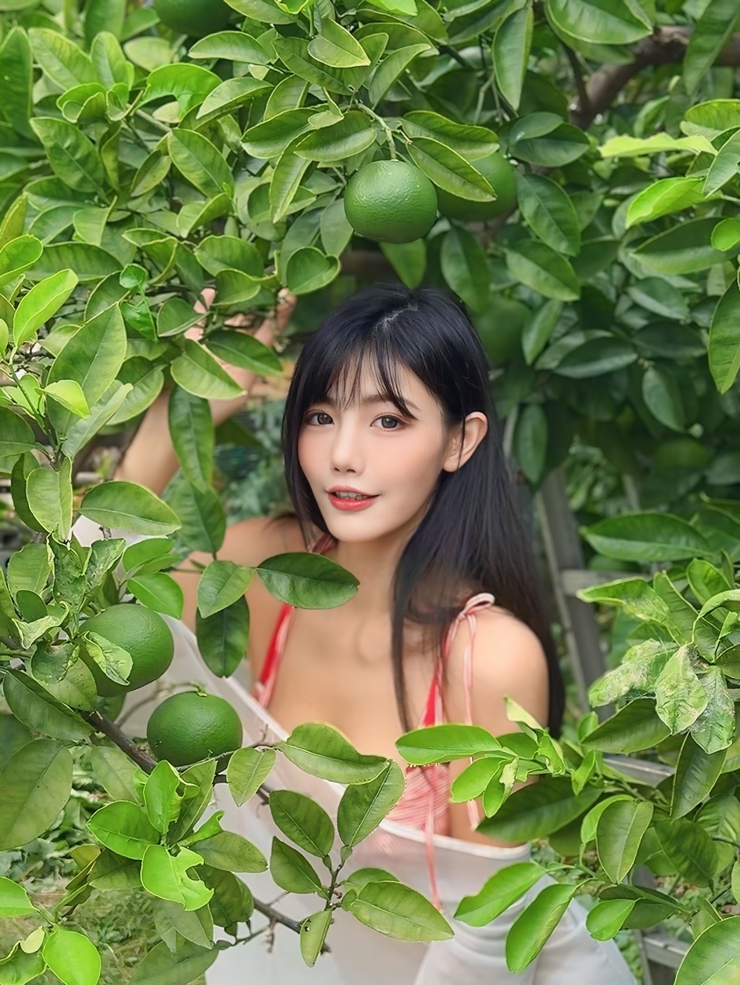 ia_2100000009.jpg