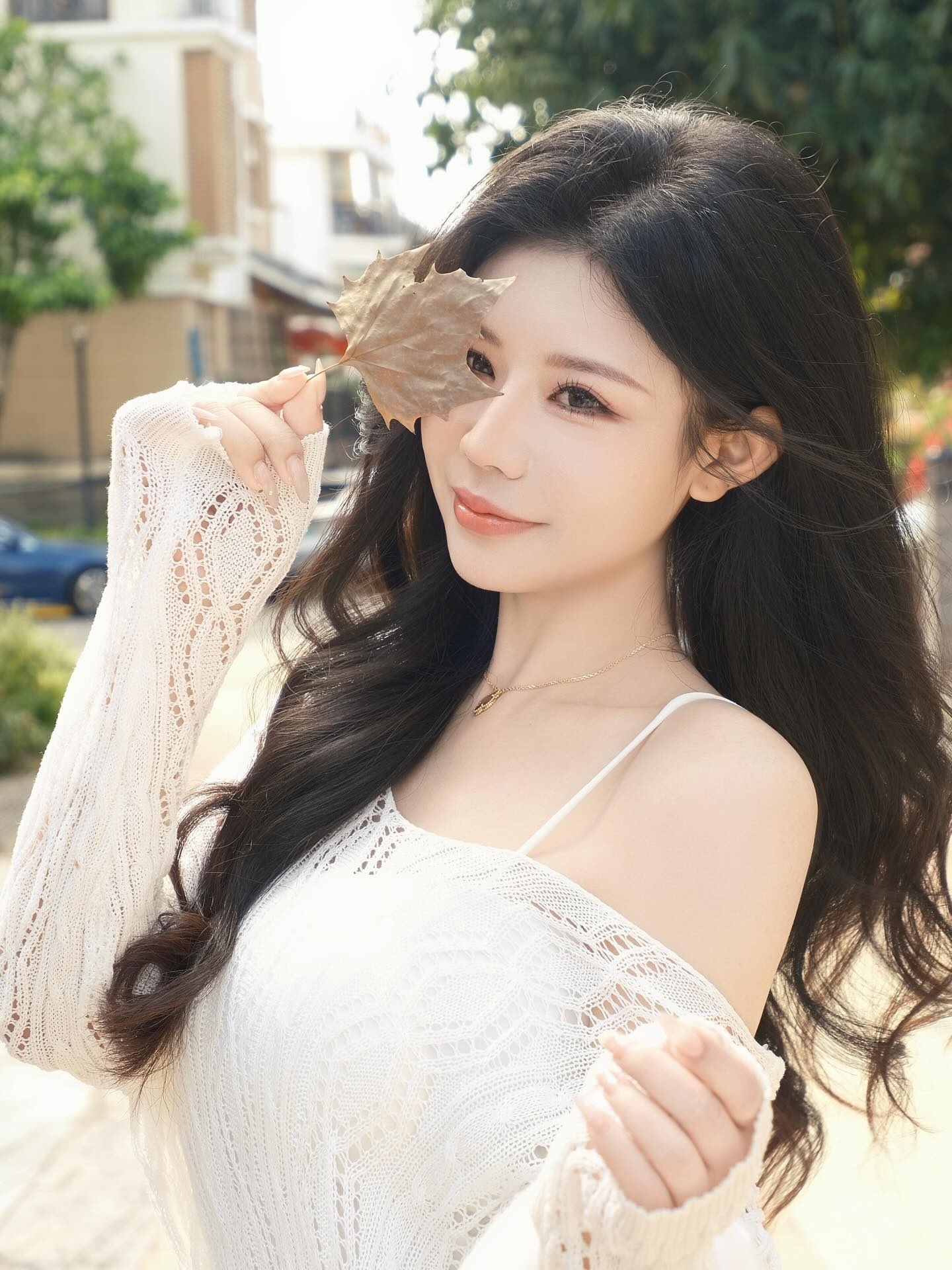 ia_100000017256.jpg